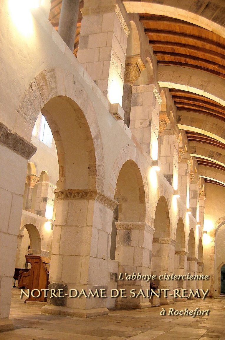Livre : Abbaye  cistercienne Notre-Dame de Saint-Remy à Rochefort
